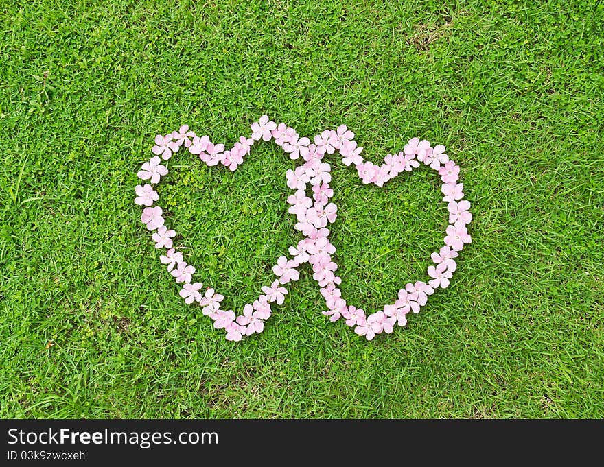 Pink flower love heart frame isolated on Green grass background