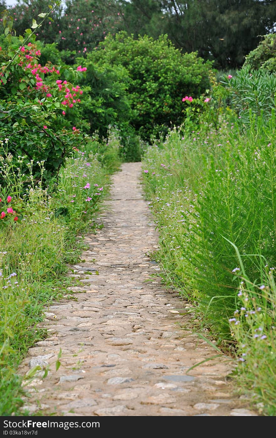 Path spread with stone and concrete in garden around green tree and grass, shown as approach, access, way and method. Path spread with stone and concrete in garden around green tree and grass, shown as approach, access, way and method.