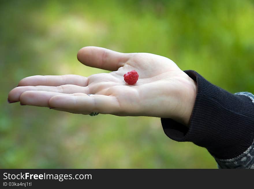 Hand with raspberry