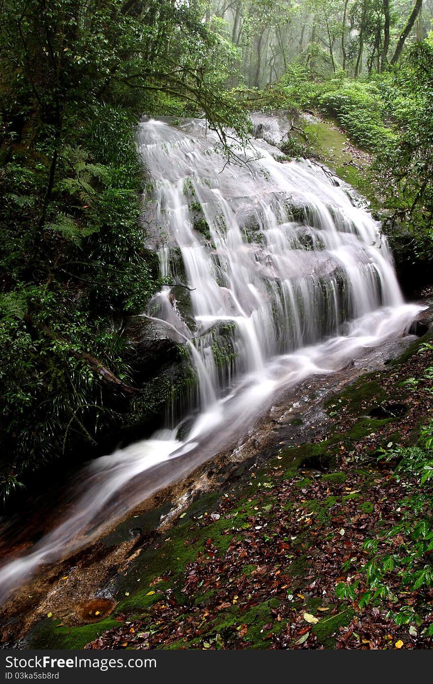 Beautiful stream od Rain forest waterfall in nationalpark Chiangmai Thailand