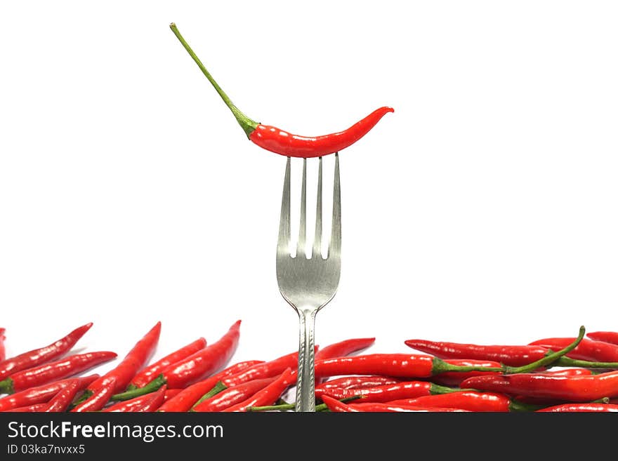 Fresh Red hot chili pepper on fork ,withe background.