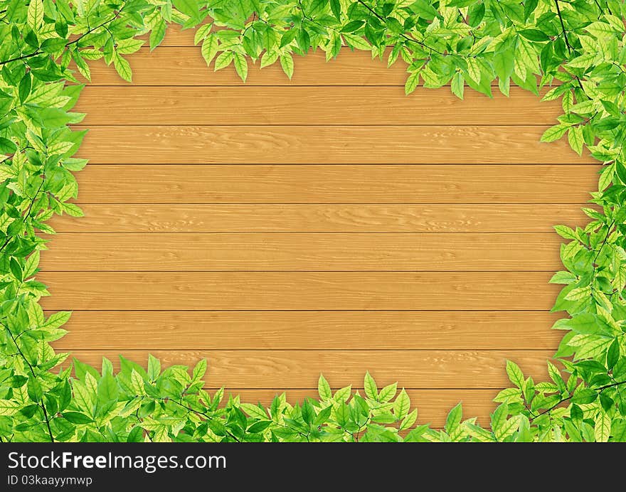 Green leaves on wood