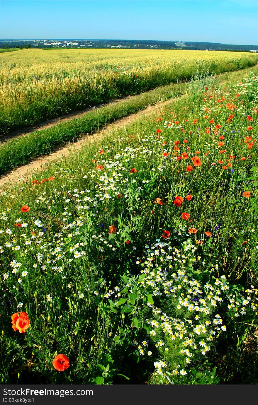 The road passes through a green field