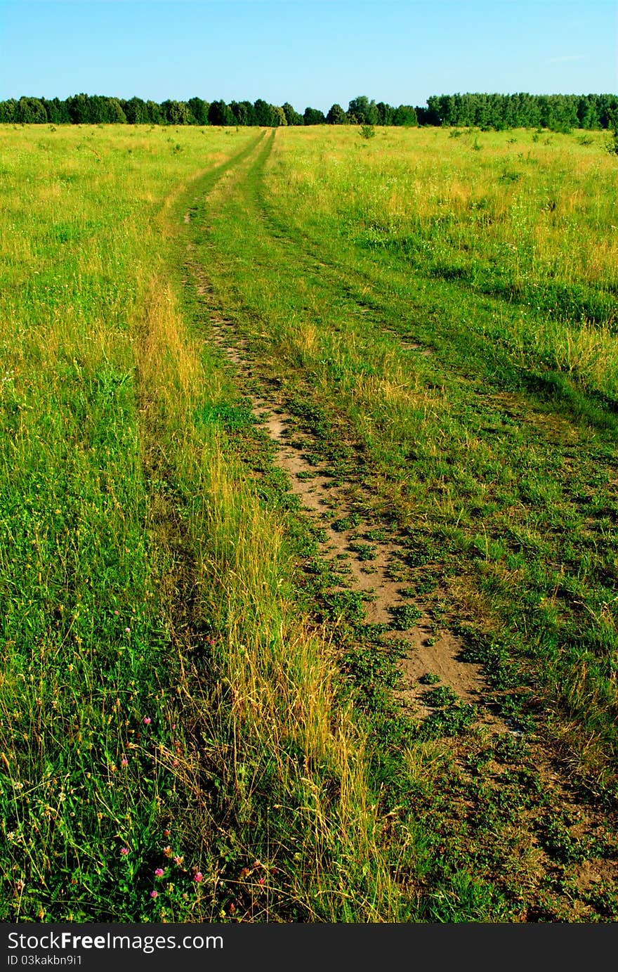 The road passes through a green field