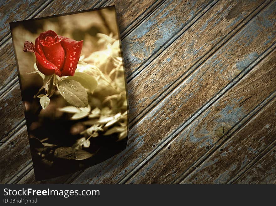 Old photographs of a rosebud on an old wood floor. Old photographs of a rosebud on an old wood floor