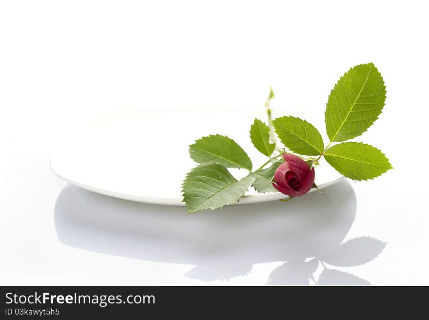 Close-up of a white plate on it is a red rose. Isolated. Close-up of a white plate on it is a red rose. Isolated