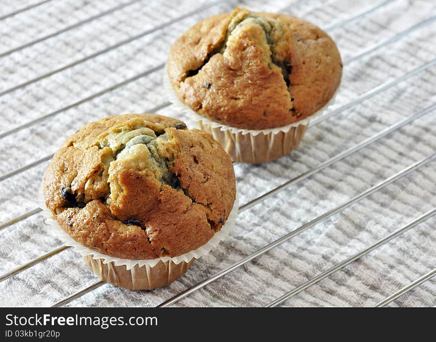 Two blueberry muffins