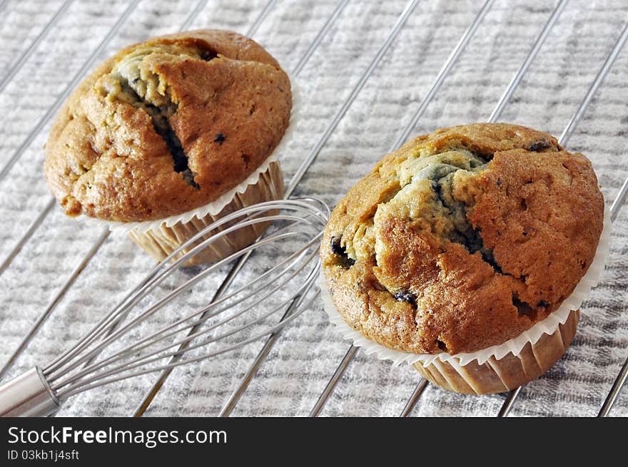 Two freshly baked blueberry muffins. Two freshly baked blueberry muffins