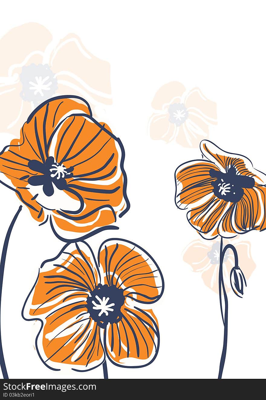 Orange poppies