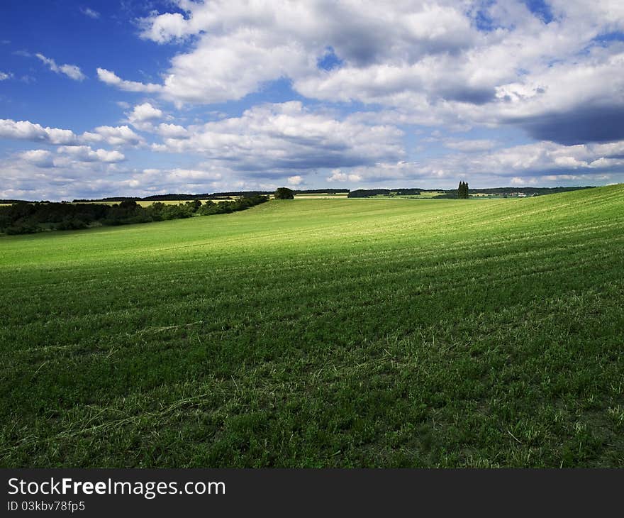 Summer landscape