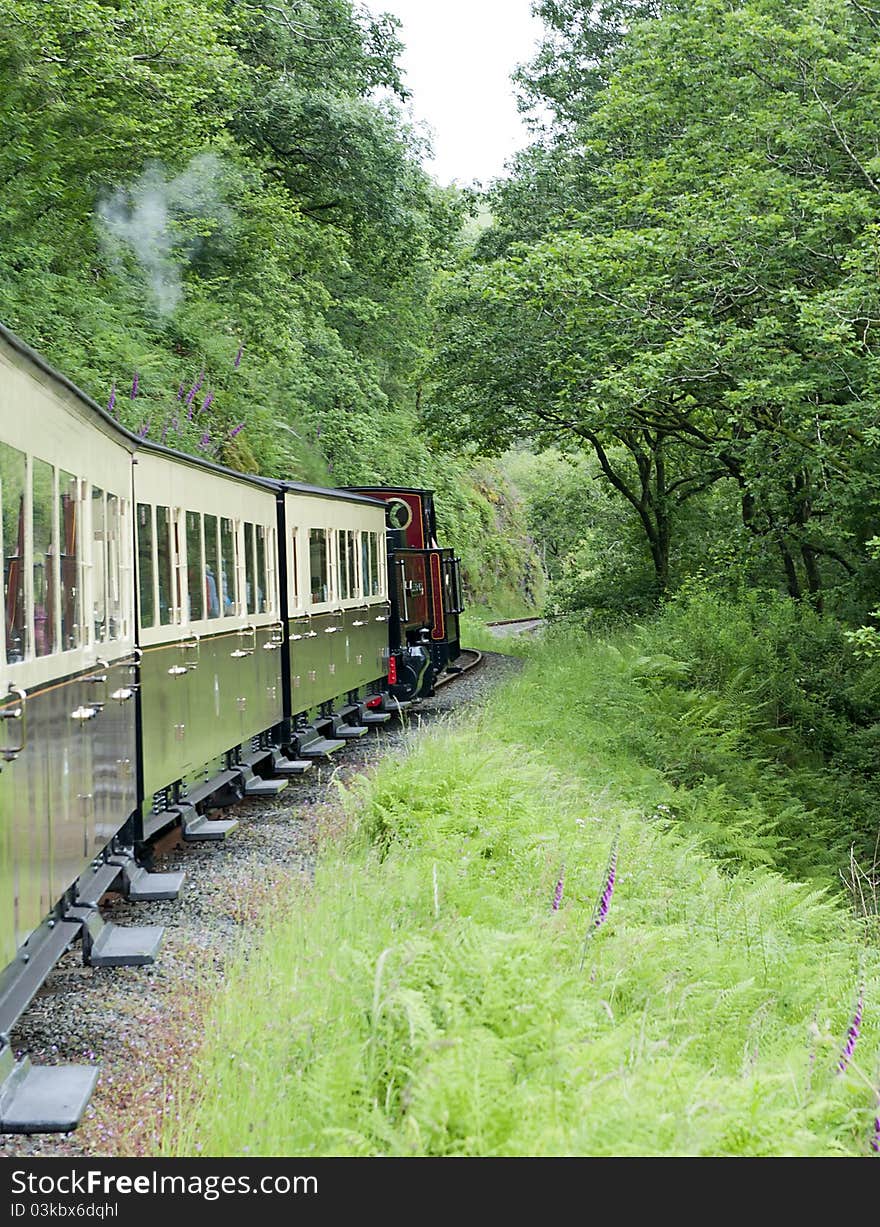 Vale Of Rheidol Railway