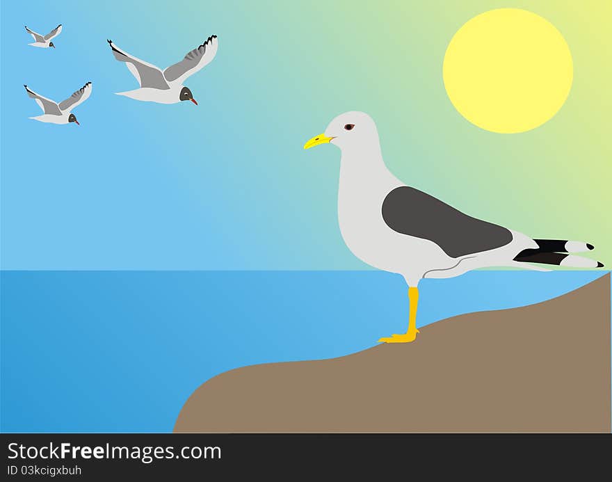 Sea seagull