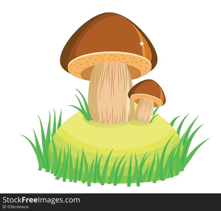 Mushrooms in raining day.Vector cartoon background