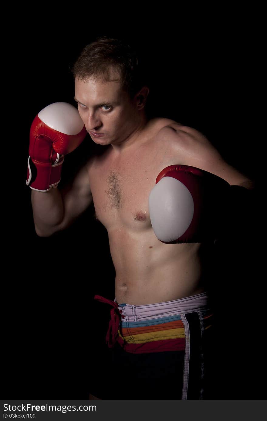 Young Boxer over black background