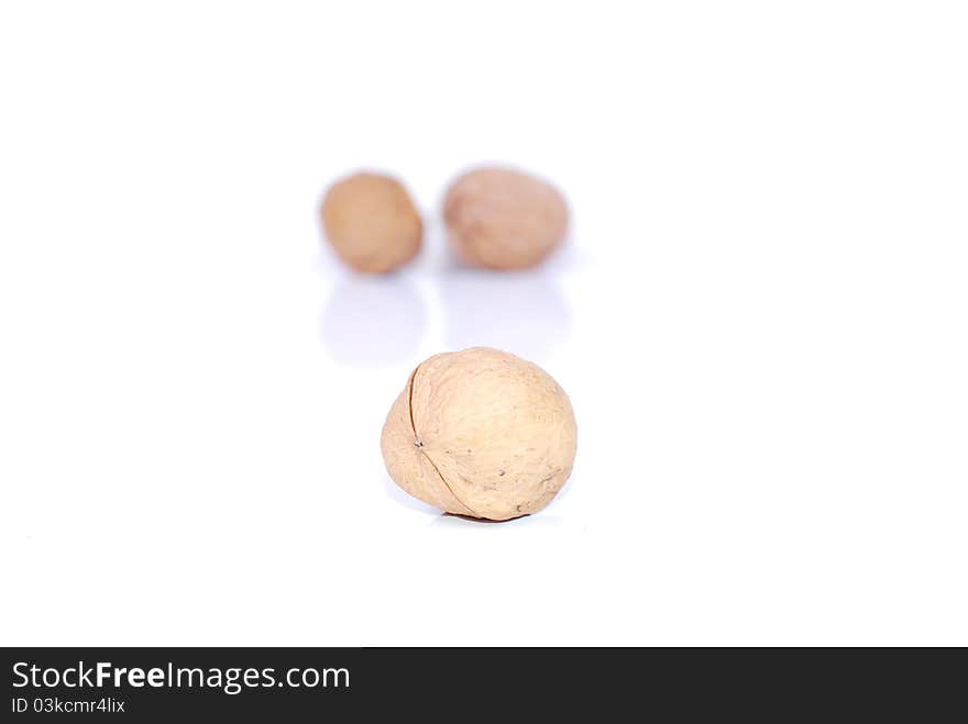 Walnut brown nut  on white background