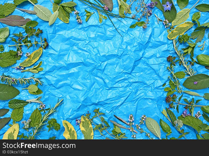 A frame of fresh herbs on blue paper