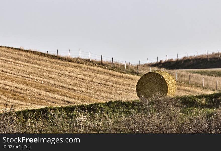 Hay Bale  against a newly swathed field