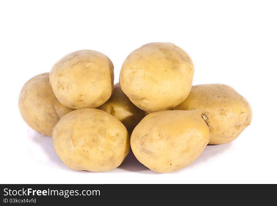 Harvesting potatoes on white background, agriculture and food