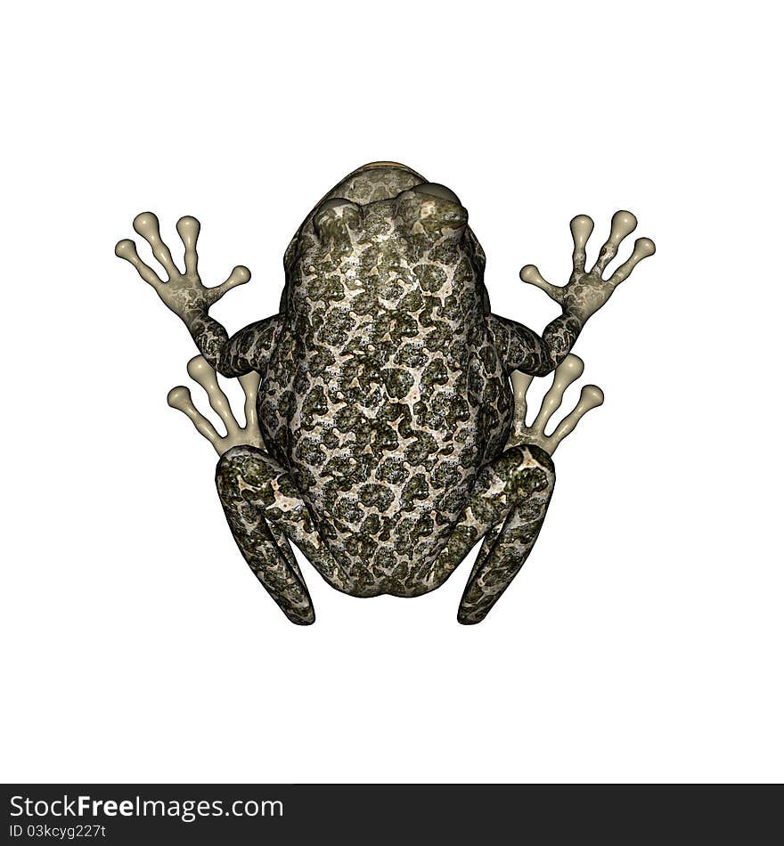 3D render of a poison dart frog