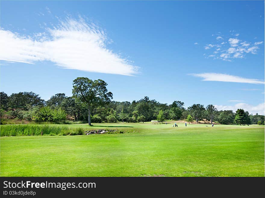 Golfers