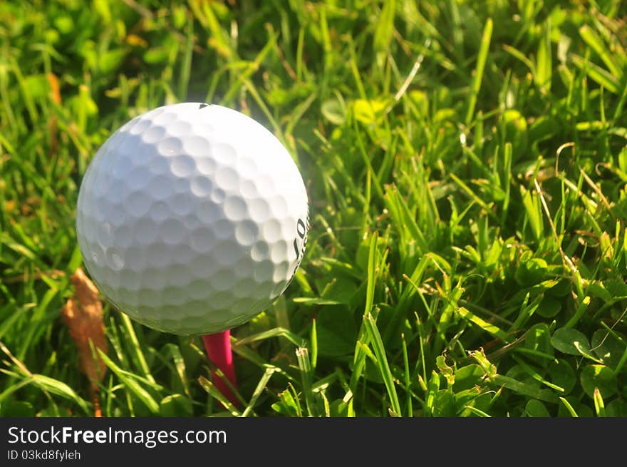 Image of a golf ball on a tee in green grass