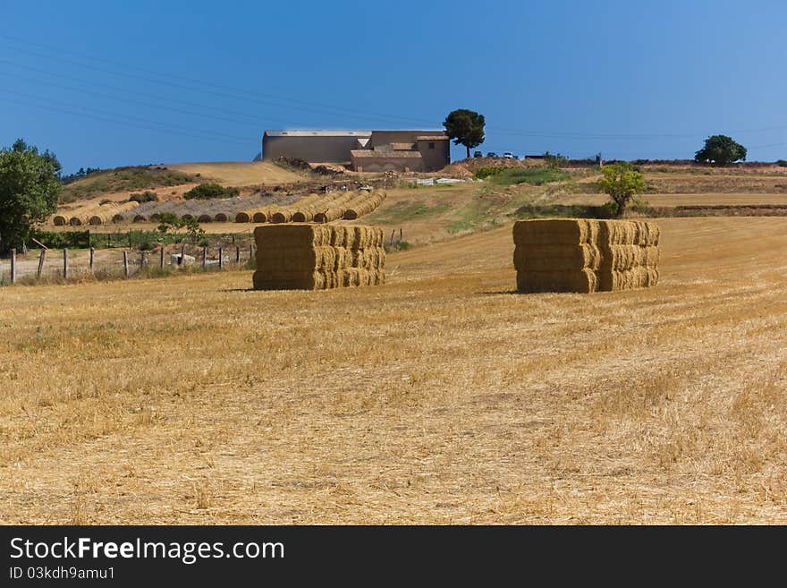 Brown countryside and newly collected bullets paka