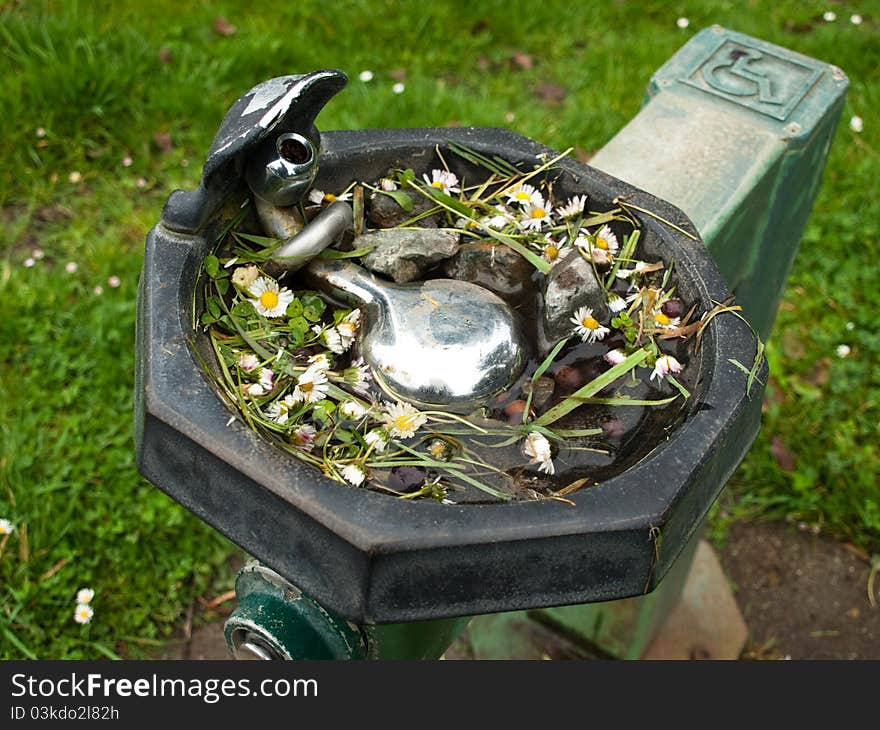 Cute Drinking Fountain in Golden Gate Park