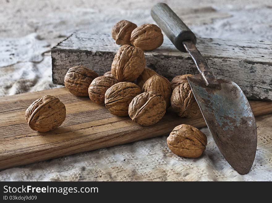 Walnuts from the juglans regia tree