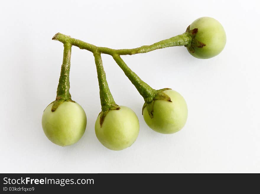 A Small Bunch of Thai Brinjal