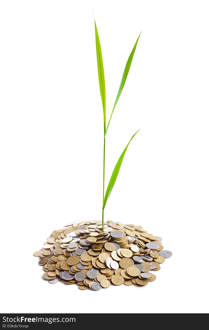 Young green plant is growing out of heap of coins