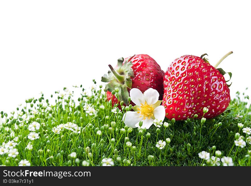 Fresh strawberry on a green grass isolated on a white background