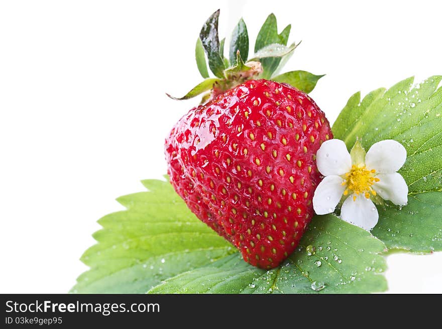 Fresh strawberry on a green leaf isolated on a white background