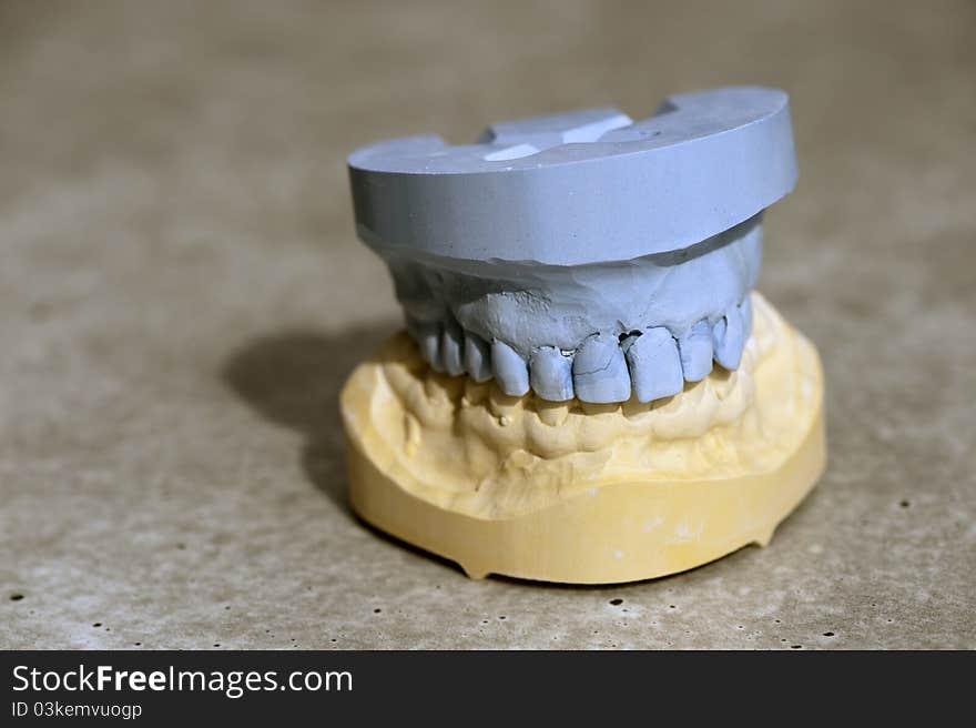 Model a set of teeth, upper and lower jaw. Model a set of teeth, upper and lower jaw