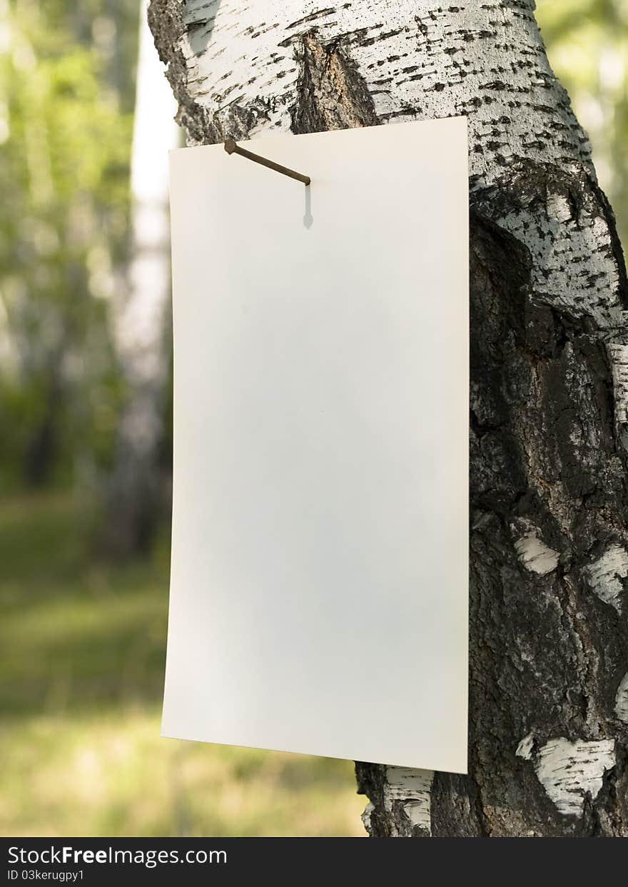 Paper attached nail to a tree in the forest. Paper attached nail to a tree in the forest