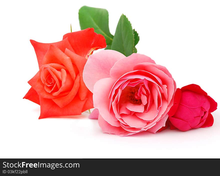 A freshness roses bouquet gift on table