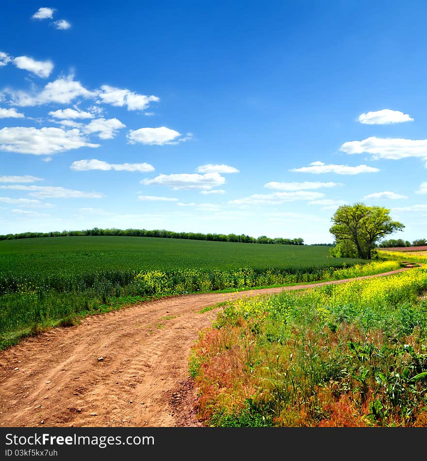 Country road and fields on the background of the blue