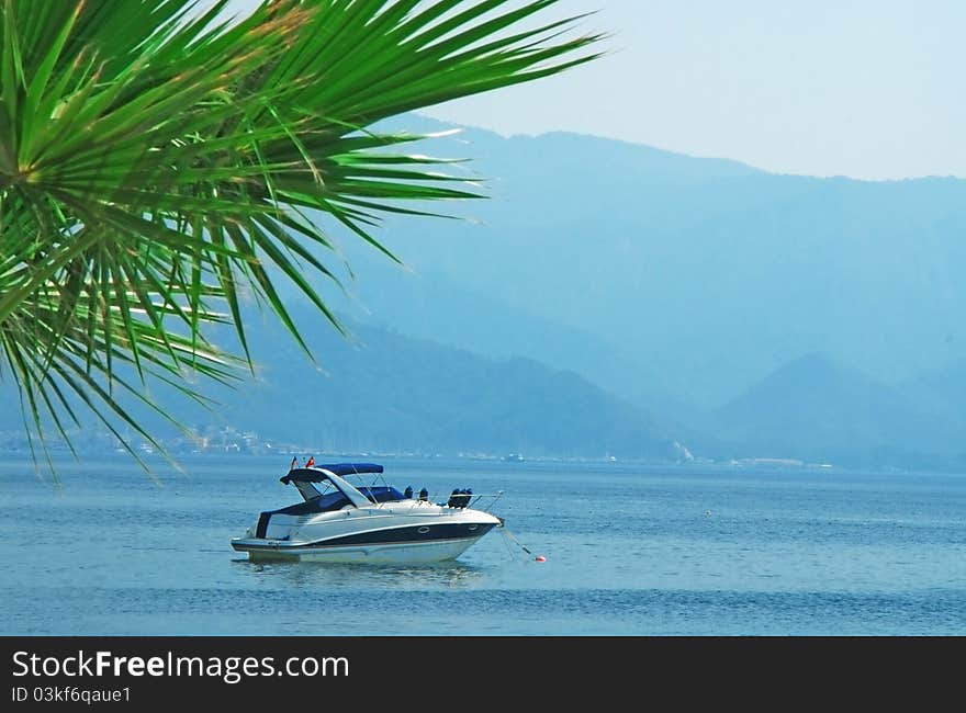 Motorboat at sea and palm ashore