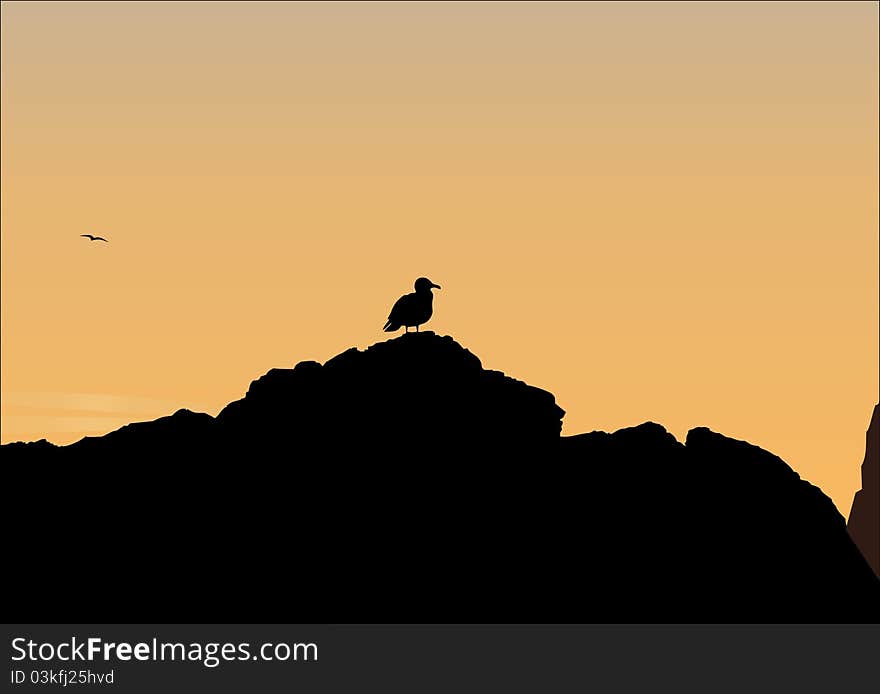 Dark silhouette of a bird on orange background