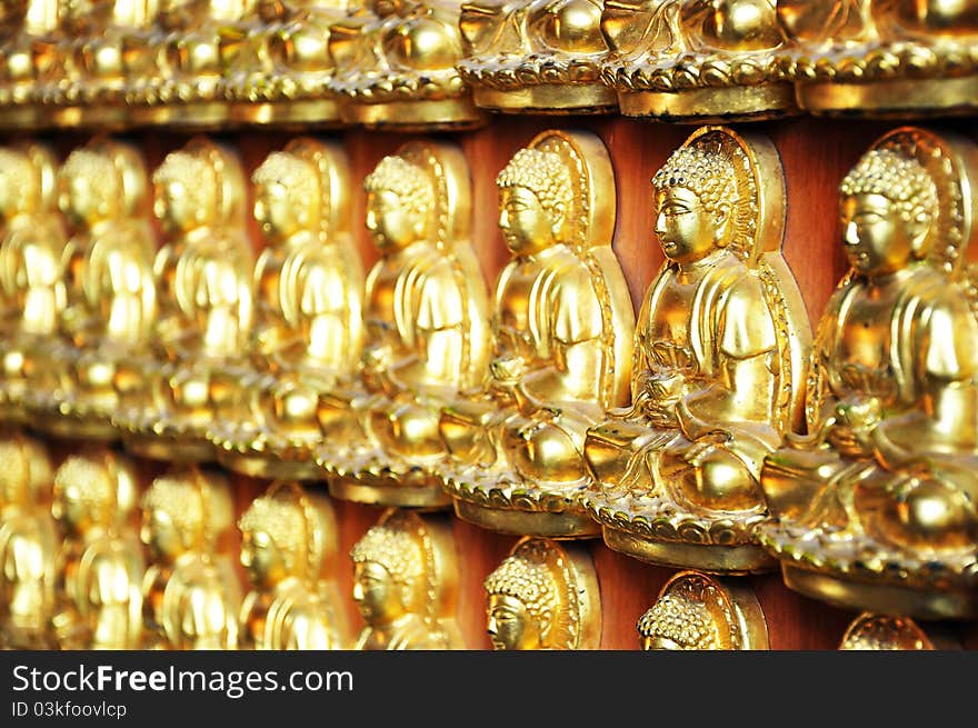 10000 Golden Buddha in Chinese temple