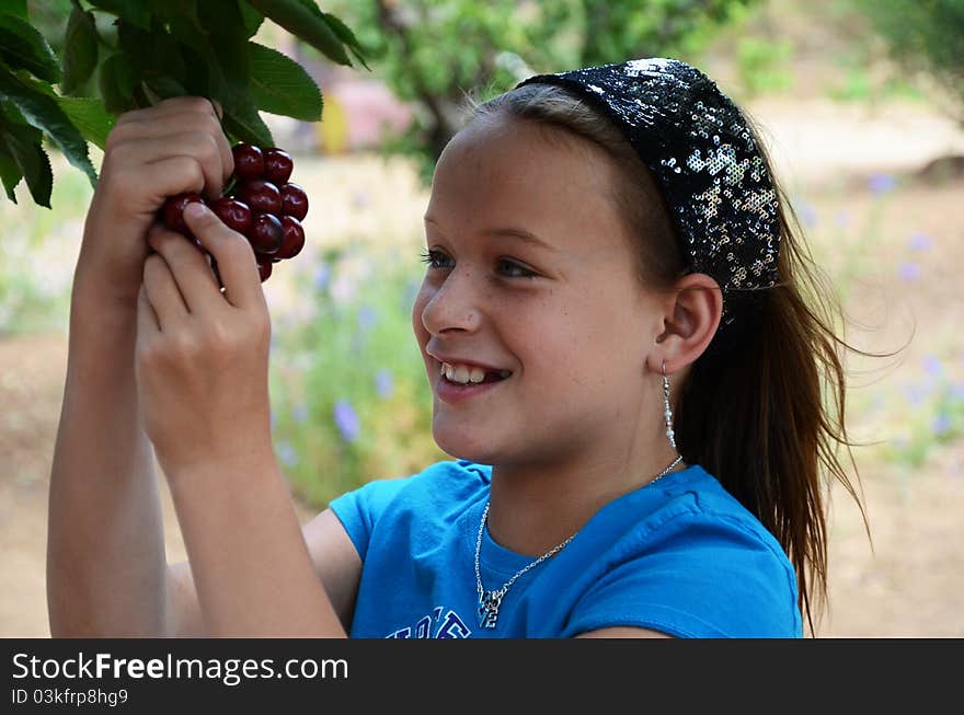 A little girl eating some nice red cherries off of a cherry tree. A little girl eating some nice red cherries off of a cherry tree.