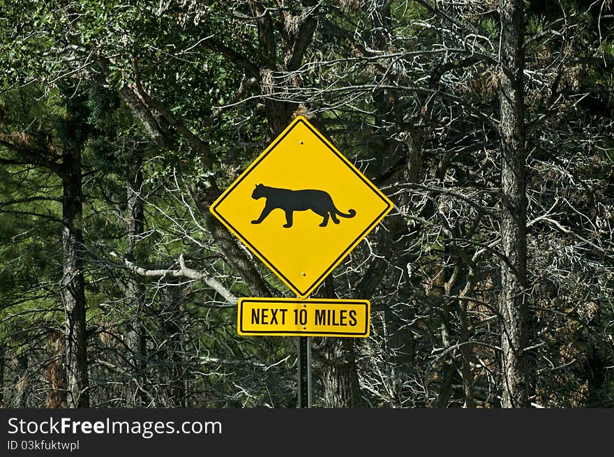 Mountain Lion Warning Sign