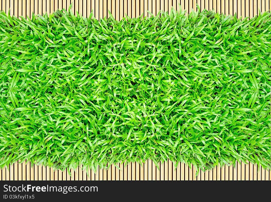 Grass frame on bamboo background