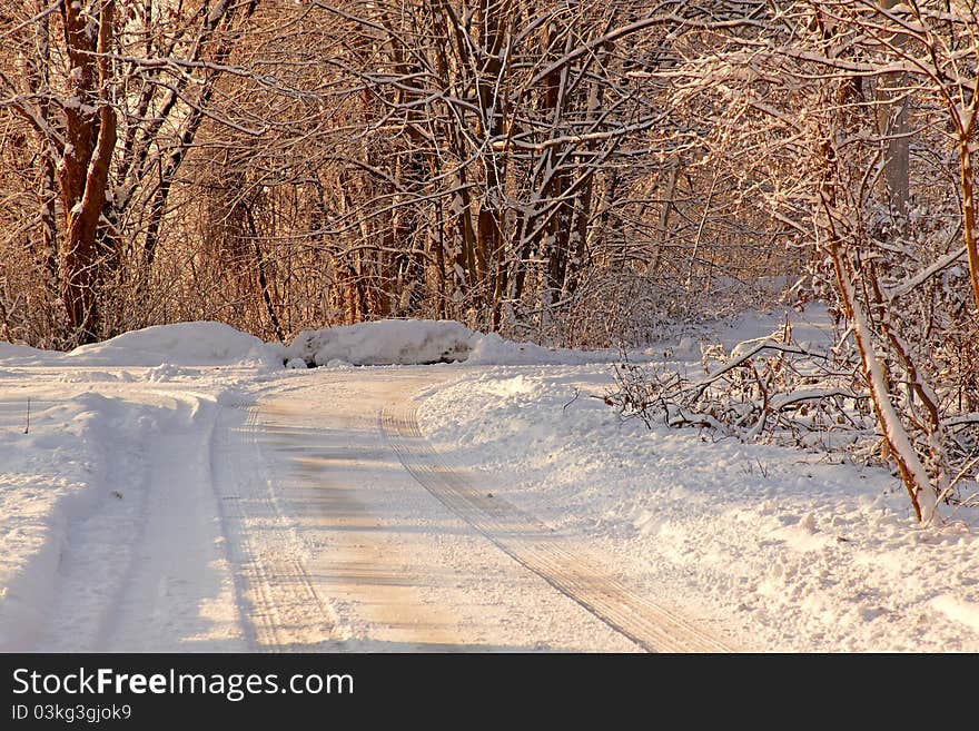 Snow covered park at early morning light.