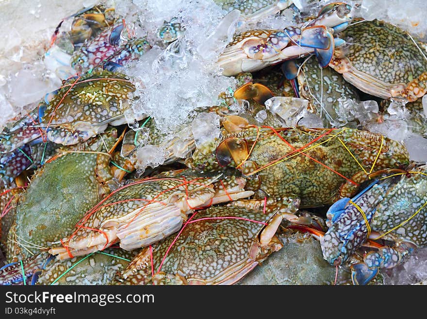 Pile of crabs fresh caught In the Market. closeup Useful for design-works.