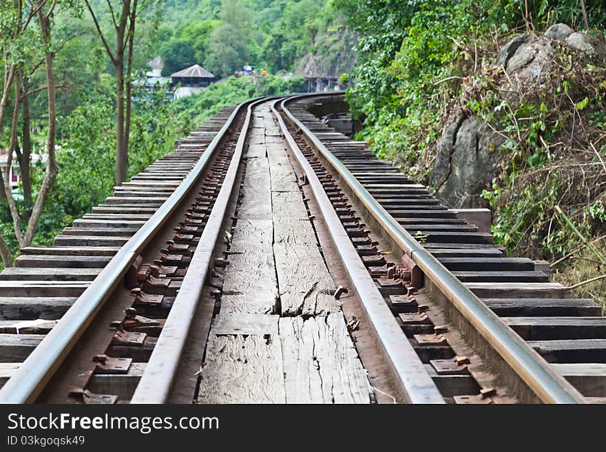 Curve Train Rails With A Forest