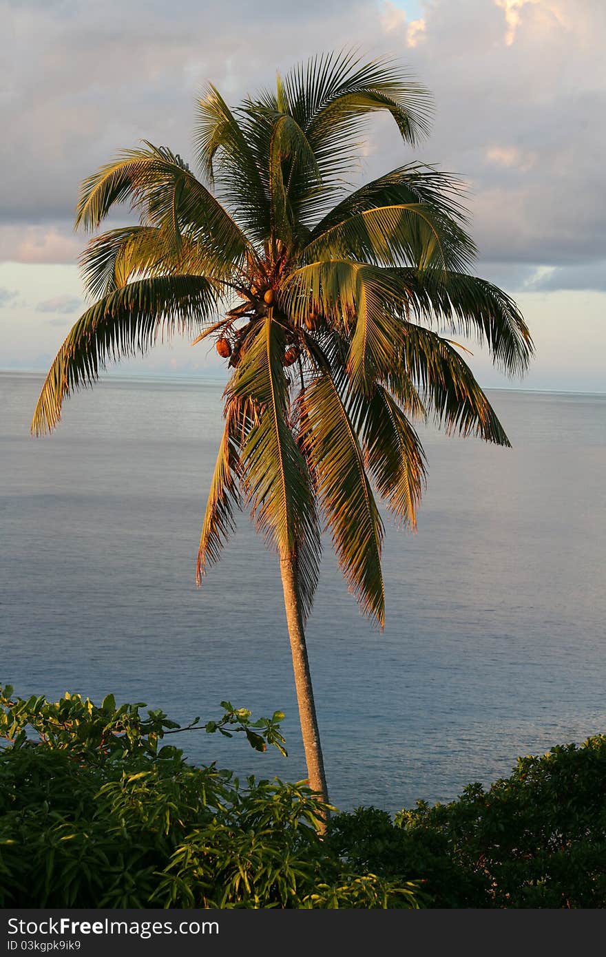 Veiw from Fregate Island,Seychlles. Veiw from Fregate Island,Seychlles