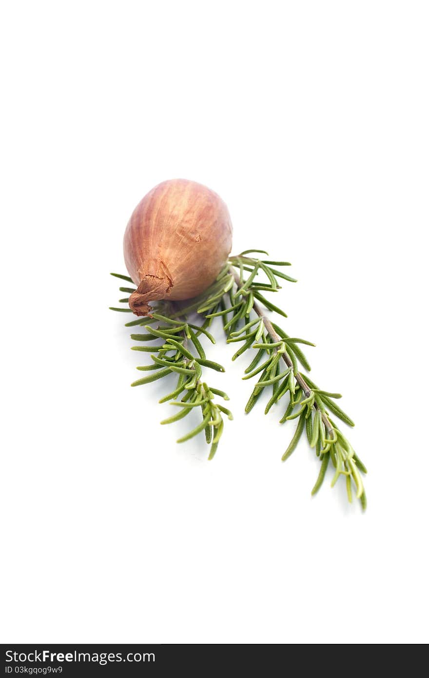 Summer vegetables : onion and rosemary isolated on white. Summer vegetables : onion and rosemary isolated on white