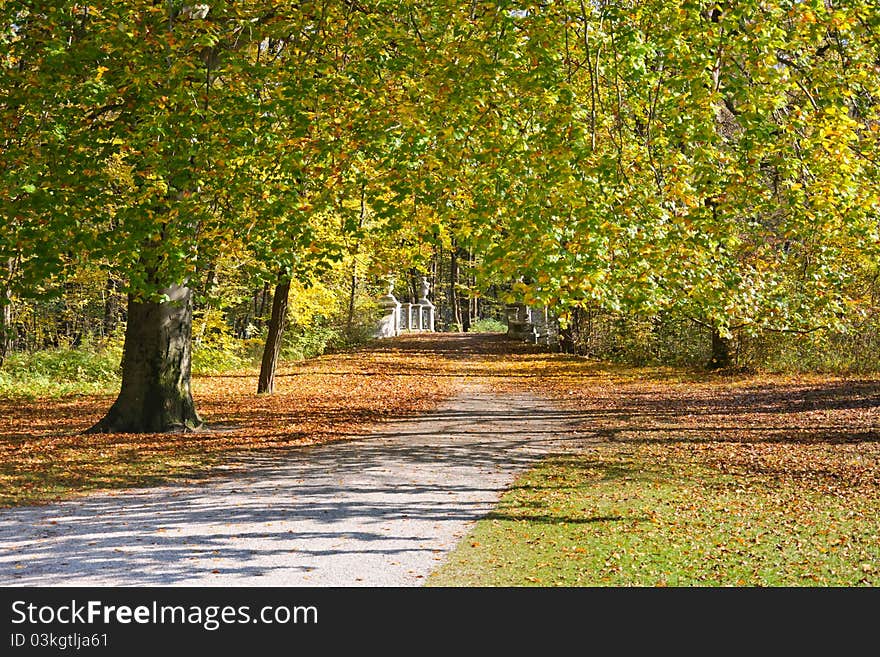 Beautiful peaceful walk in the autumn park. Beautiful peaceful walk in the autumn park