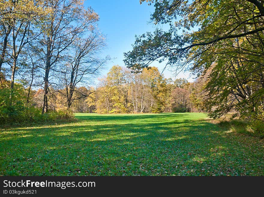 Beautiful green meadow in the autumn park