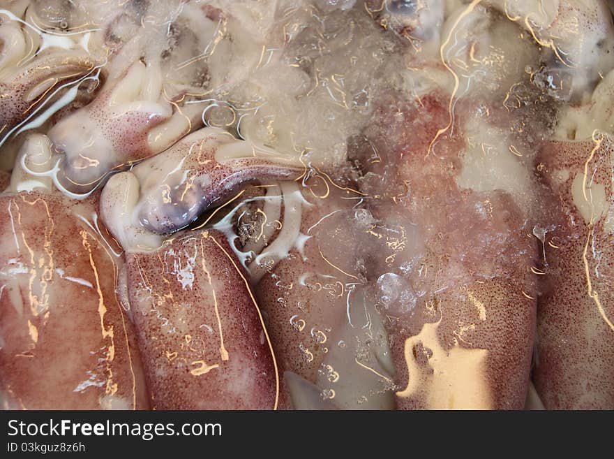 Squids on ice in open seafood supermarket